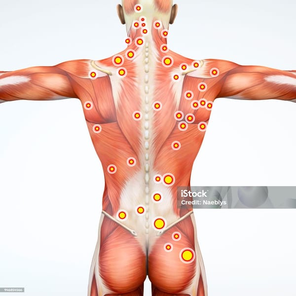 Reverse Trigger Points and Adhesions with Targeted Sports Massage in Austin, TX