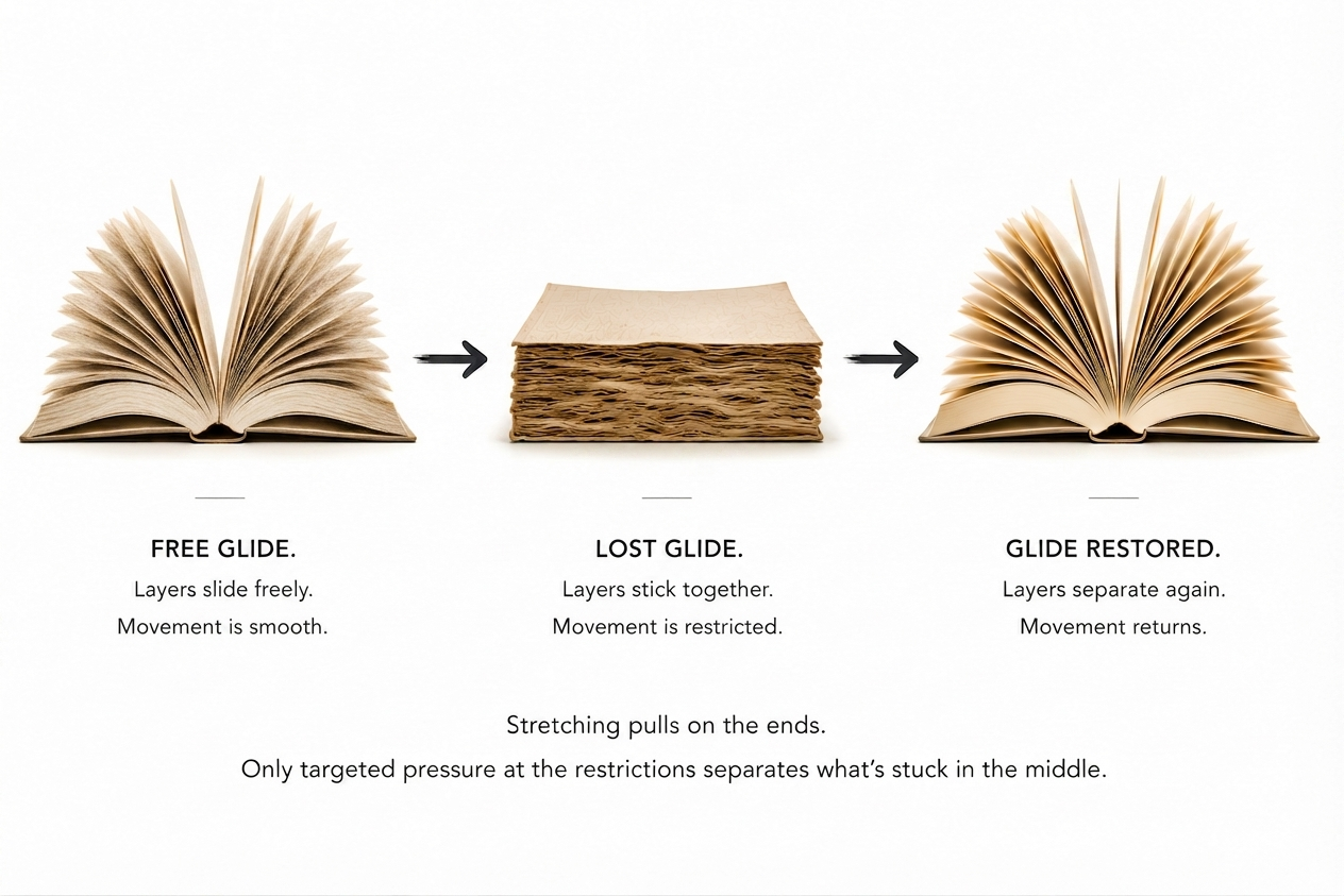 Illustration of muscle layers sliding past each other, representing muscle glide